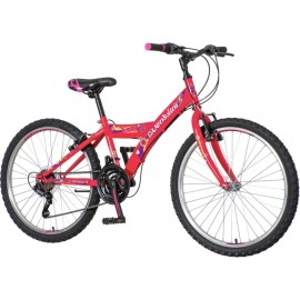 Велосипед VENSSINI PARMA PAM244" розев