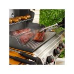 Weber precision faalka za skara 1